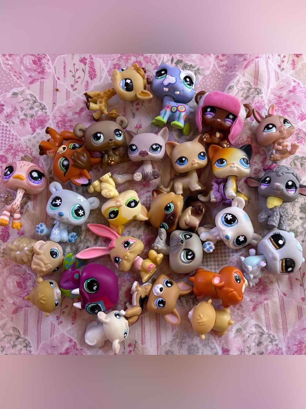 Lps Bundle